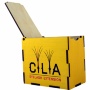 LashBox Для Ресниц Cilia [GOLD] (Лэшбокс С 5 Планшетками)
